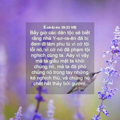 Picture 04 - Ê-xê-ki-ên 39:23 VIE - Bấy giờ các dân tộc sẽ biết rằng - Bible Verse Picture
