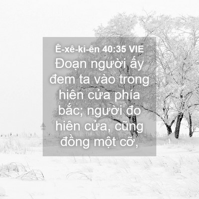 Picture 04 - Ê-xê-ki-ên 40:35 VIE - Đoạn người ấy đem ta vào trong hiên - Bible Verse Picture