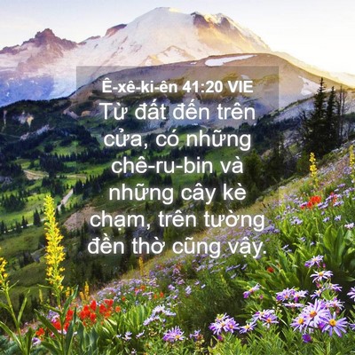 Picture 04 - Ê-xê-ki-ên 41:20 VIE - Từ đất đến trên cửa, có những - Bible Verse Picture