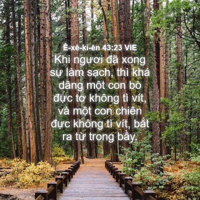 Picture 04 - Ê-xê-ki-ên 43:23 VIE - Khi ngươi đã xong sự làm sạch, thì khá - Bible Verse Picture