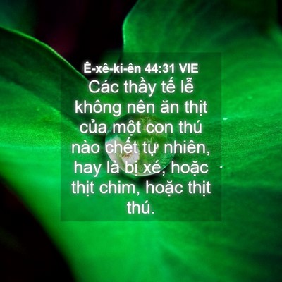 Picture 04 - Ê-xê-ki-ên 44:31 VIE - Các thầy tế lễ không nên ăn thịt - Bible Verse Picture