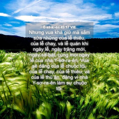 Picture 04 - Ê-xê-ki-ên 45:17 VIE - Nhưng vua khá giữ mà sắm sửa những - Bible Verse Picture