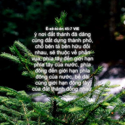 Picture 04 - Ê-xê-ki-ên 45:7 VIE - ỳ nơi đất thánh đã dâng cùng đất - Bible Verse Picture
