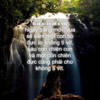 Picture 04 - Ê-xê-ki-ên 46:6 VIE - Ngày trăng mới, vua sẽ sắm một con bò - Bible Verse Picture