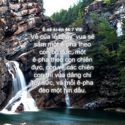 Picture 04 - Ê-xê-ki-ên 46:7 VIE - Về của lễ chay, vua sẽ sắm một ê-pha - Bible Verse Picture