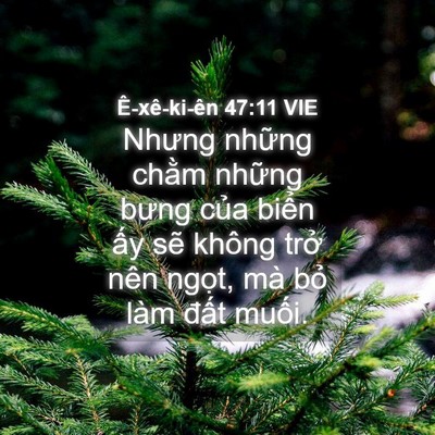 Picture 04 - Ê-xê-ki-ên 47:11 VIE - Nhưng những chằm những bưng của biển - Bible Verse Picture