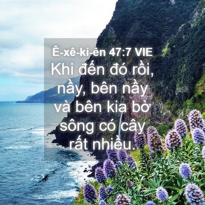 Picture 04 - Ê-xê-ki-ên 47:7 VIE - Khi đến đó rồi, nầy, bên nầy và bên - Bible Verse Picture