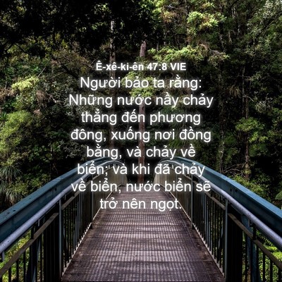 Picture 04 - Ê-xê-ki-ên 47:8 VIE - Người bảo ta rằng: Những nước nầy - Bible Verse Picture