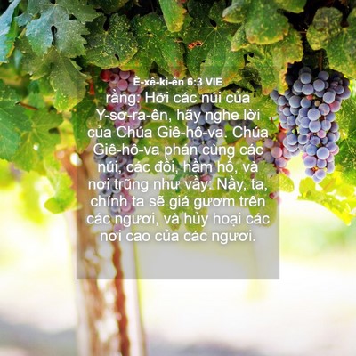 Picture 04 - Ê-xê-ki-ên 6:3 VIE - rằng: Hỡi các núi của Y-sơ-ra-ên, hãy - Bible Verse Picture