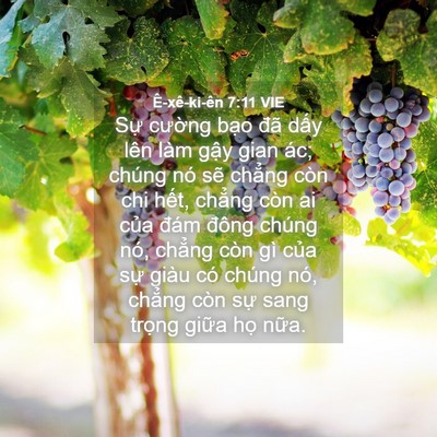 Picture 04 - Ê-xê-ki-ên 7:11 VIE - Sự cường bạo đã dấy lên làm gậy - Bible Verse Picture