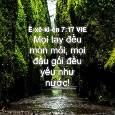 Picture 04 - Ê-xê-ki-ên 7:17 VIE - Mọi tay đều mòn mỏi, mọi đầu gối - Bible Verse Picture
