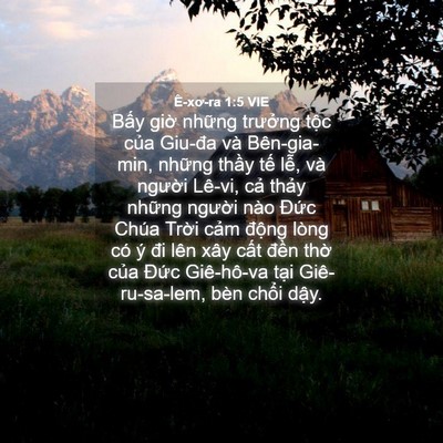 Picture 04 - Ê-xơ-ra 1:5 VIE - Bấy giờ những trưởng tộc của Giu-đa - Bible Verse Picture