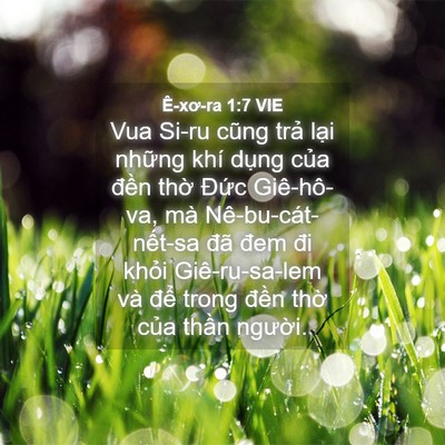 Picture 04 - Ê-xơ-ra 1:7 VIE - Vua Si-ru cũng trả lại những khí dụng - Bible Verse Picture