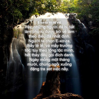 Picture 04 - Ê-xơ-ra 10:16 VIE - Vậy, những người đã bị bắt làm phu - Bible Verse Picture