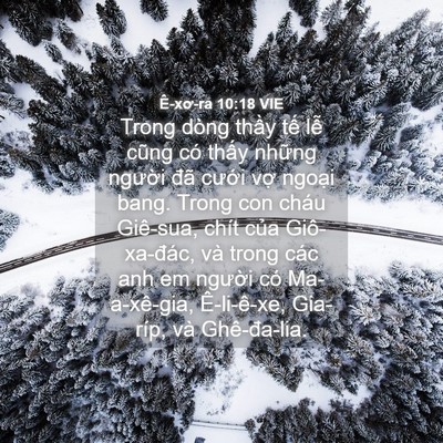 Picture 04 - Ê-xơ-ra 10:18 VIE - Trong dòng thầy tế lễ cũng có thấy - Bible Verse Picture