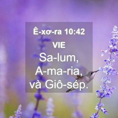Picture 04 - Ê-xơ-ra 10:42 VIE - Sa-lum, A-ma-ria, và - Bible Verse Picture
