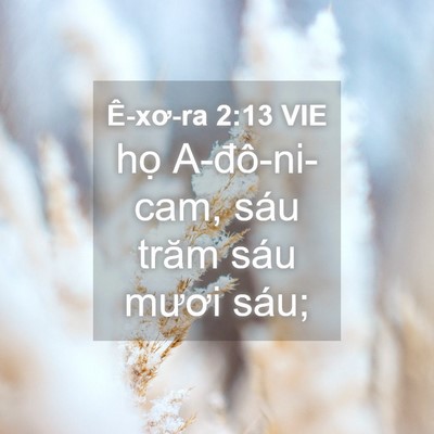 Picture 04 - Ê-xơ-ra 2:13 VIE - họ A-đô-ni-cam, sáu trăm sáu mươi - Bible Verse Picture