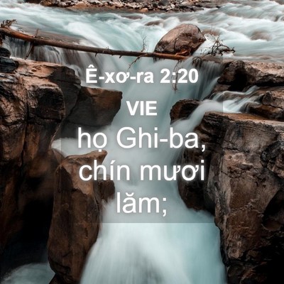 Picture 04 - Ê-xơ-ra 2:20 VIE - họ Ghi-ba, chín mươi - Bible Verse Picture