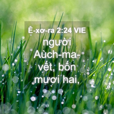 Picture 04 - Ê-xơ-ra 2:24 VIE - người Aùch-ma-vết, bốn mươi - Bible Verse Picture