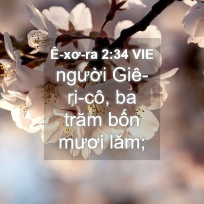 Picture 04 - Ê-xơ-ra 2:34 VIE - người Giê-ri-cô, ba trăm bốn mươi - Bible Verse Picture