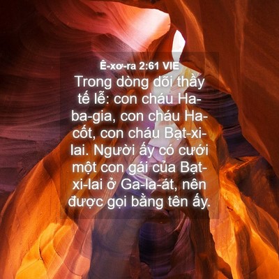 Picture 04 - Ê-xơ-ra 2:61 VIE - Trong dòng dõi thầy tế lễ: con cháu - Bible Verse Picture