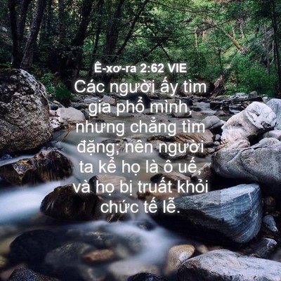 Picture 04 - Ê-xơ-ra 2:62 VIE - Các người ấy tìm gia phổ mình, nhưng - Bible Verse Picture
