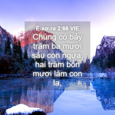 Picture 04 - Ê-xơ-ra 2:66 VIE - Chúng có bảy trăm ba mươi sáu con ngựa, - Bible Verse Picture