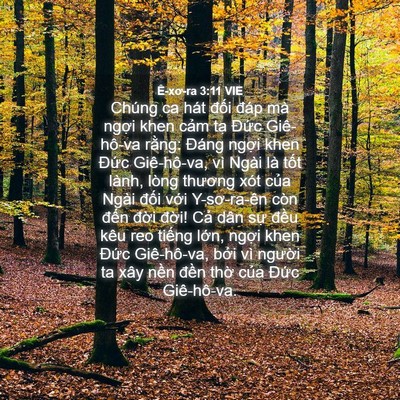 Picture 04 - Ê-xơ-ra 3:11 VIE - Chúng ca hát đối đáp mà ngợi khen cảm - Bible Verse Picture