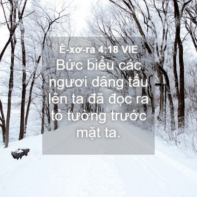 Picture 04 - Ê-xơ-ra 4:18 VIE - Bức biểu các ngươi dâng tấu lên ta - Bible Verse Picture