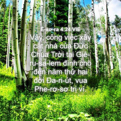 Picture 04 - Ê-xơ-ra 4:24 VIE - Vậy, công việc xây cất nhà của Đức - Bible Verse Picture