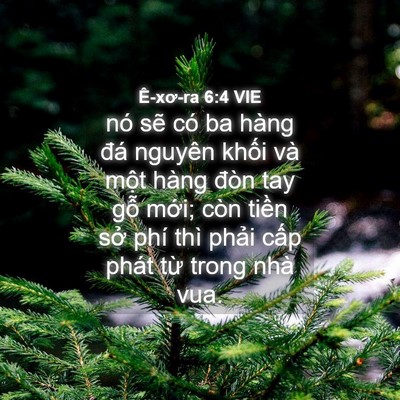 Picture 04 - Ê-xơ-ra 6:4 VIE - nó sẽ có ba hàng đá nguyên khối và - Bible Verse Picture