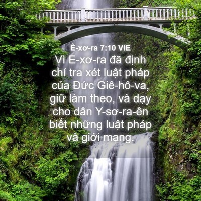 Picture 04 - Ê-xơ-ra 7:10 VIE - Vì E-xơ-ra đã định chí tra xét luật - Bible Verse Picture