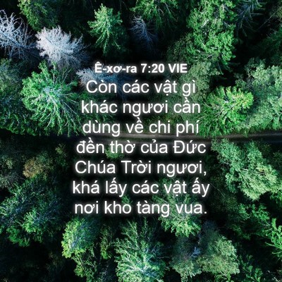 Picture 04 - Ê-xơ-ra 7:20 VIE - Còn các vật gì khác ngươi cần dùng - Bible Verse Picture