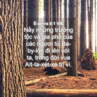 Picture 04 - Ê-xơ-ra 8:1 VIE - Nầy những trưởng tộc và gia phổ của - Bible Verse Picture
