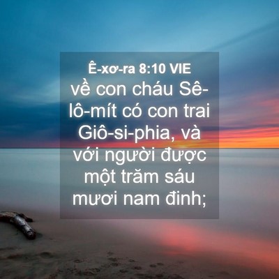 Picture 04 - Ê-xơ-ra 8:10 VIE - về con cháu Sê-lô-mít có con trai - Bible Verse Picture