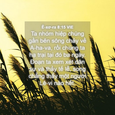 Picture 04 - Ê-xơ-ra 8:15 VIE - Ta nhóm hiệp chúng gần bên sông chảy - Bible Verse Picture