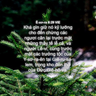 Picture 04 - Ê-xơ-ra 8:29 VIE - Khá gìn giữ nó kỹ lưỡng cho đến - Bible Verse Picture