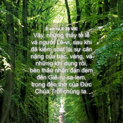 Picture 04 - Ê-xơ-ra 8:30 VIE - Vậy, những thầy tế lễ và người - Bible Verse Picture