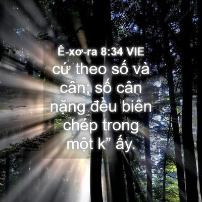 Picture 04 - Ê-xơ-ra 8:34 VIE - cứ theo số và cân; số cân nặng đều - Bible Verse Picture