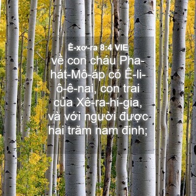 Picture 04 - Ê-xơ-ra 8:4 VIE - về con cháu Pha-hát-Mô-áp có - Bible Verse Picture