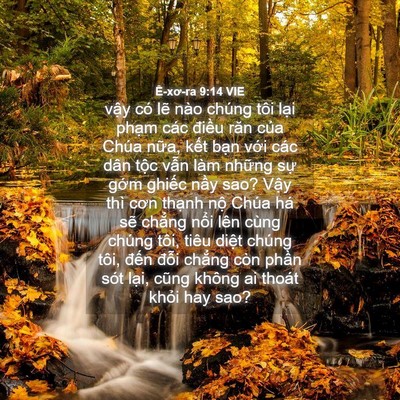 Picture 04 - Ê-xơ-ra 9:14 VIE - vậy có lẽ nào chúng tôi lại phạm các - Bible Verse Picture