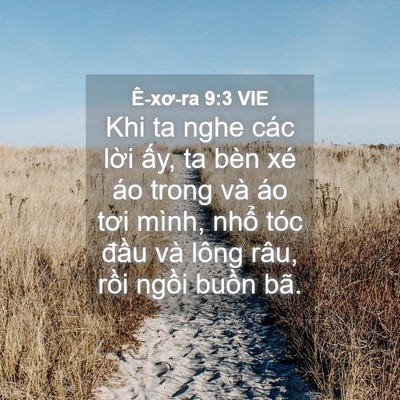 Picture 04 - Ê-xơ-ra 9:3 VIE - Khi ta nghe các lời ấy, ta bèn xé áo - Bible Verse Picture