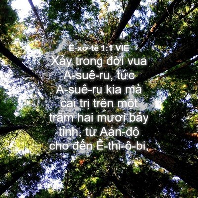 Picture 04 - Ê-xơ-tê 1:1 VIE - Xảy trong đời vua A-suê-ru, tức A-suê-ru - Bible Verse Picture