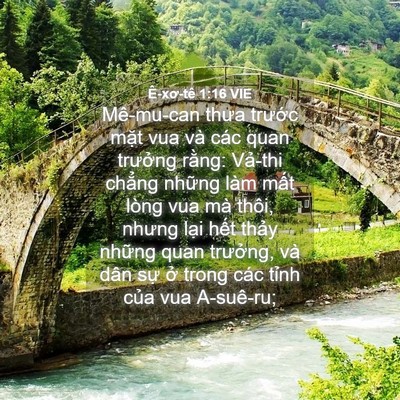 Picture 04 - Ê-xơ-tê 1:16 VIE - Mê-mu-can thưa trước mặt vua và các quan - Bible Verse Picture