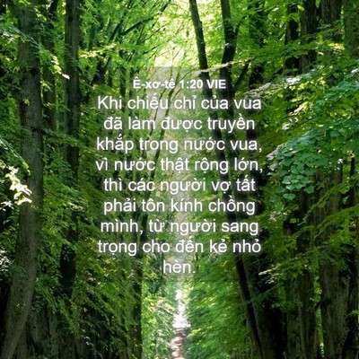 Picture 04 - Ê-xơ-tê 1:20 VIE - Khi chiếu chỉ của vua đã làm được - Bible Verse Picture
