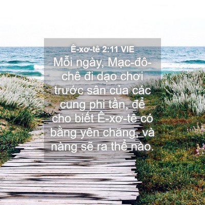 Picture 04 - Ê-xơ-tê 2:11 VIE - Mỗi ngày, Mạc-đô-chê đi dạo chơi - Bible Verse Picture