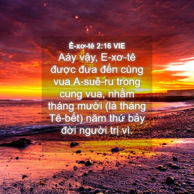 Picture 04 - Ê-xơ-tê 2:16 VIE - Aáy vậy, E-xơ-tê được đưa đến cùng - Bible Verse Picture