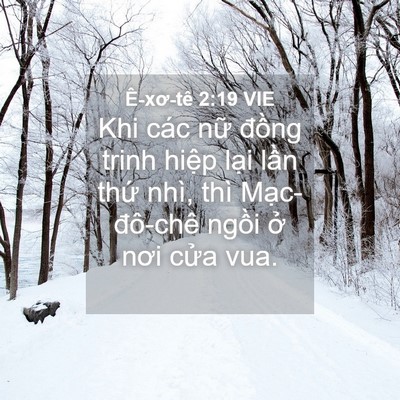 Picture 04 - Ê-xơ-tê 2:19 VIE - Khi các nữ đồng trinh hiệp lại lần - Bible Verse Picture