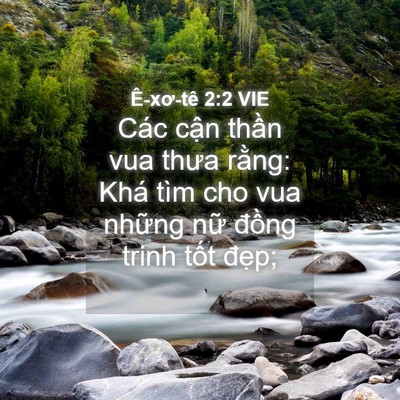 Picture 04 - Ê-xơ-tê 2:2 VIE - Các cận thần vua thưa rằng: Khá tìm cho - Bible Verse Picture