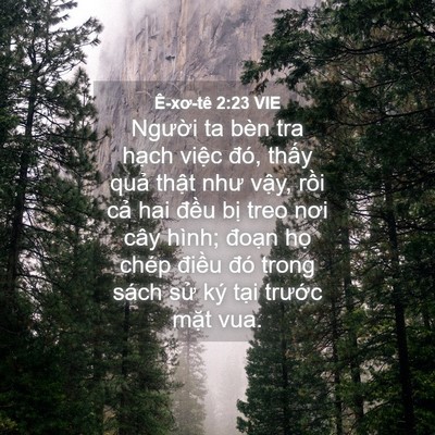 Picture 04 - Ê-xơ-tê 2:23 VIE - Người ta bèn tra hạch việc đó, thấy - Bible Verse Picture